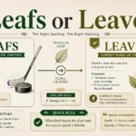 Leafs or Leaves